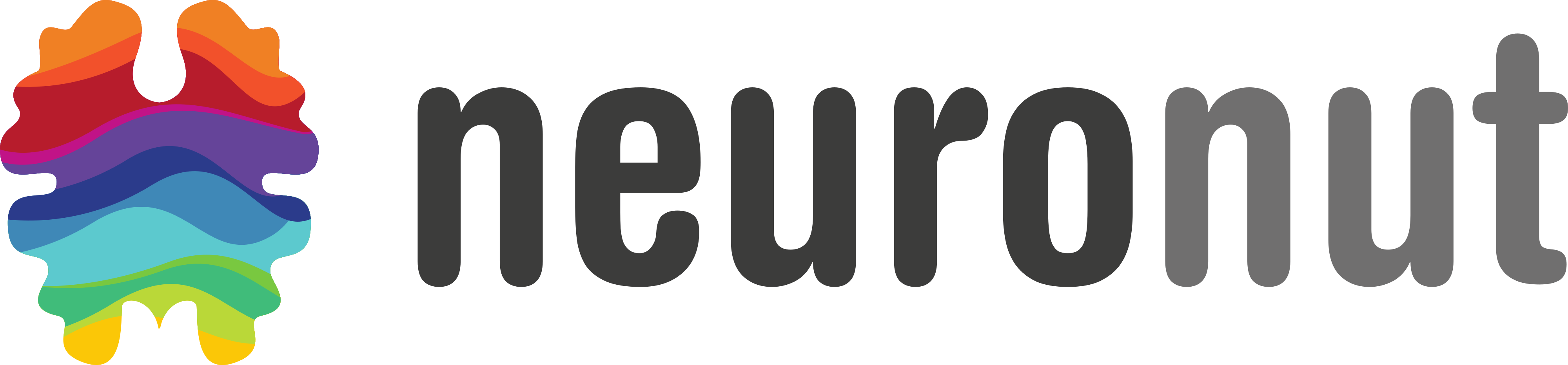 NeuroNut Logo Text