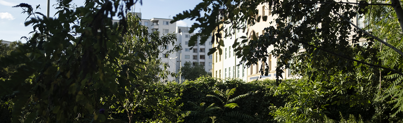 Garten am Moritzplatz