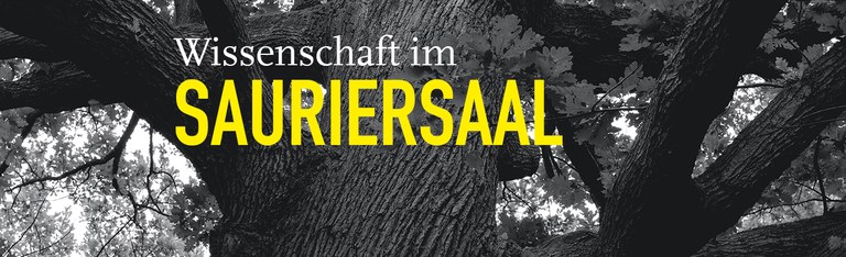 Slider Wissenschaft im Sauriersaal
