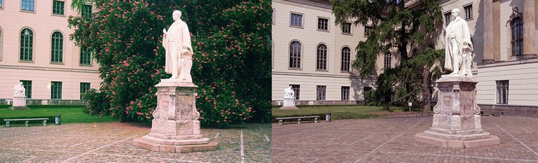 Kastanie im Ehrenhof