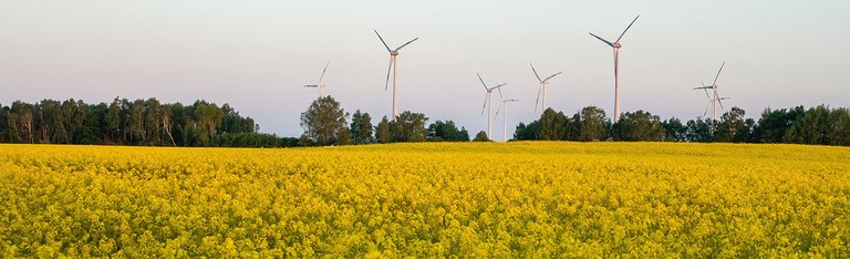 Windkraft Brandenburg Land