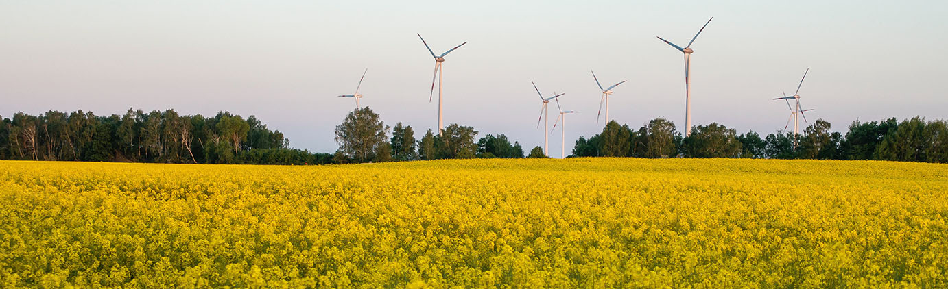Windkraft Brandenburg Land