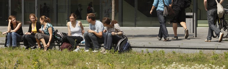 Studierende sitzen im Grünen