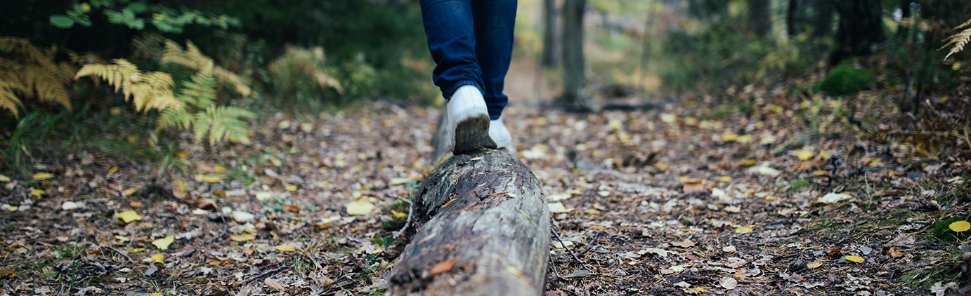 Wandern Wald Baumstamm