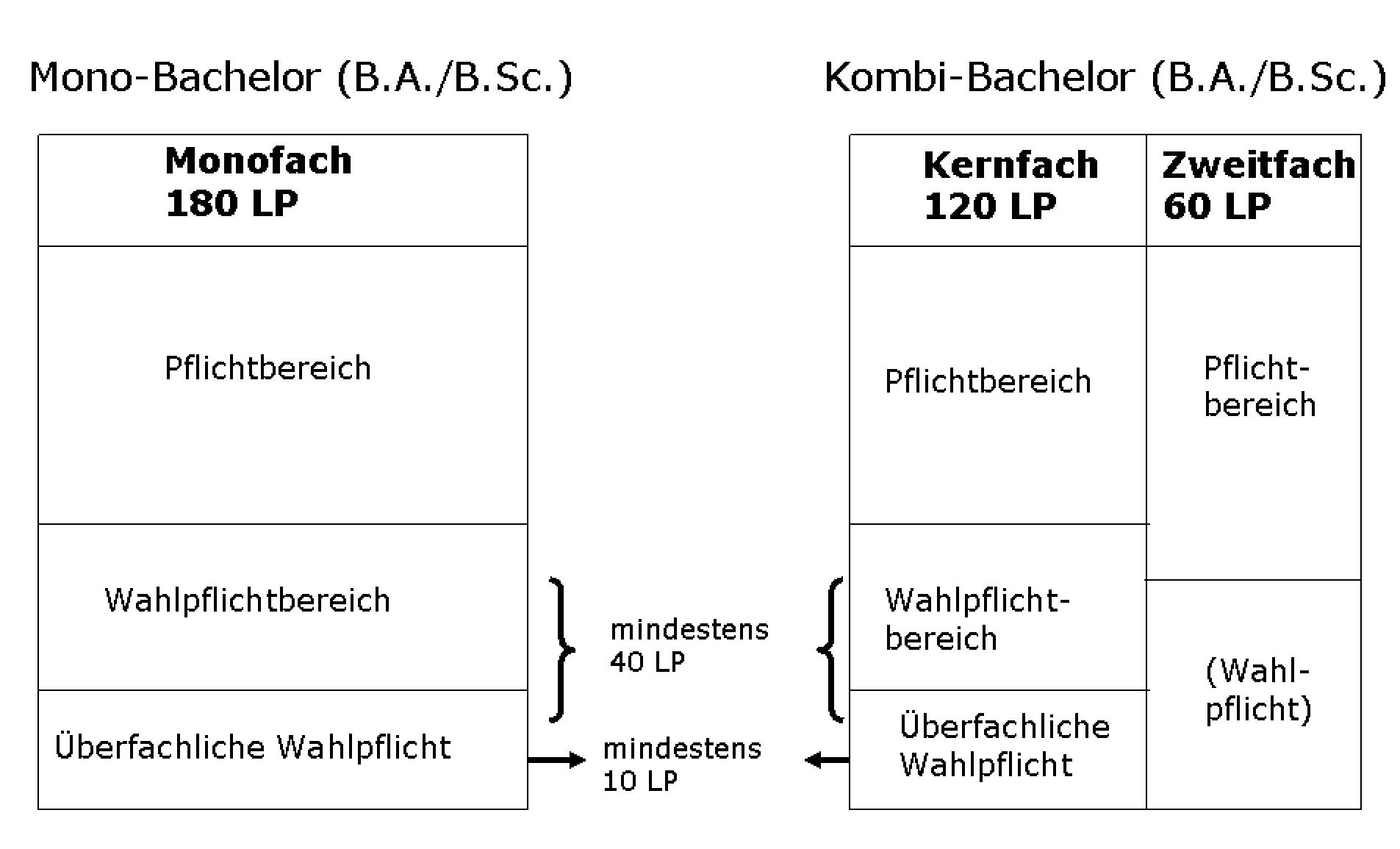 Bachelorstruktur