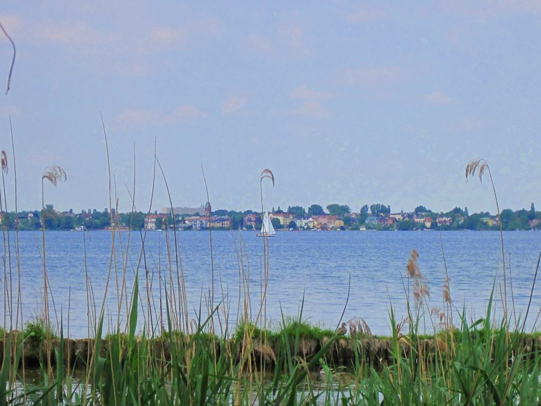 IMG_3784_verb.JPG