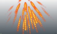 3D Hail of light bullets E-Field - small_MBIGrundwaldBock.jpg