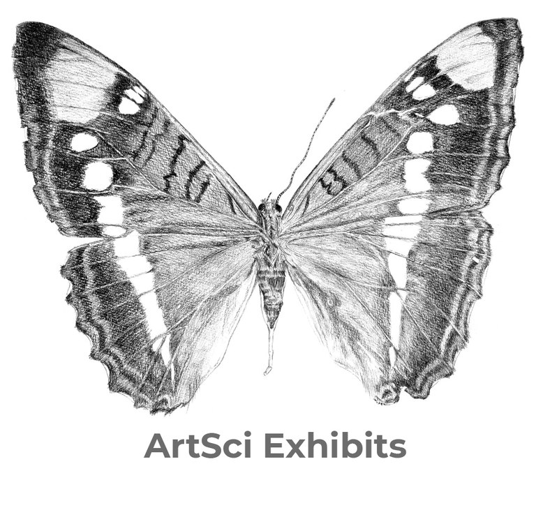new logo