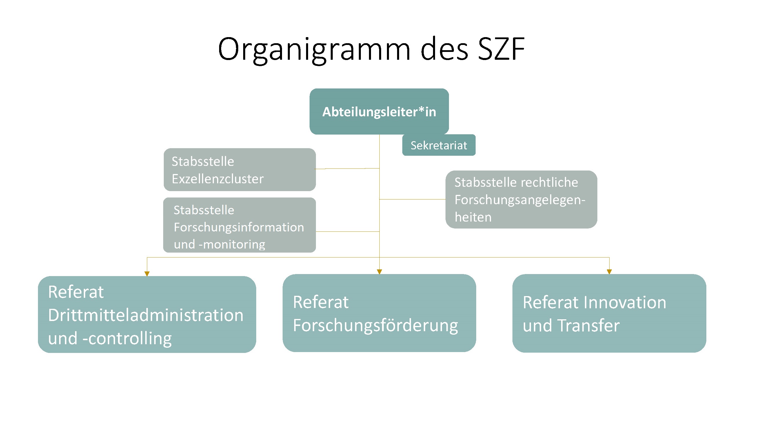 20221006_Organigramm SZF_NEW+Stabsstelle.jpg
