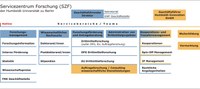 szf organigramm