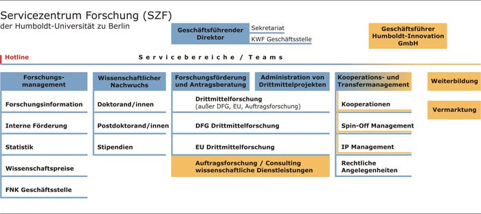 szf organigramm