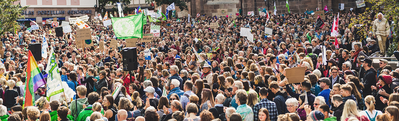 Climate Strike Adults