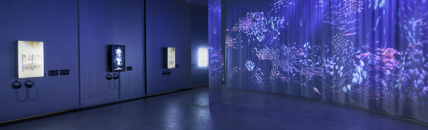 View into the Humboldt Lab