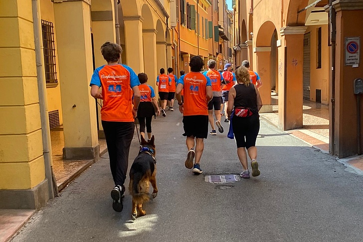 Gruppe von Menschen in orangefarbenen T-Shirts läuft eine enge Gasse entlang, eine Person führt einen Hund an der Leine