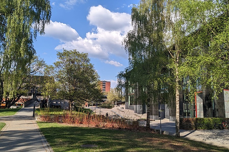 Weg mit Rasenflächen und Bäumen neben einem modernen Gebäude unter blauem Himmel mit Wolken