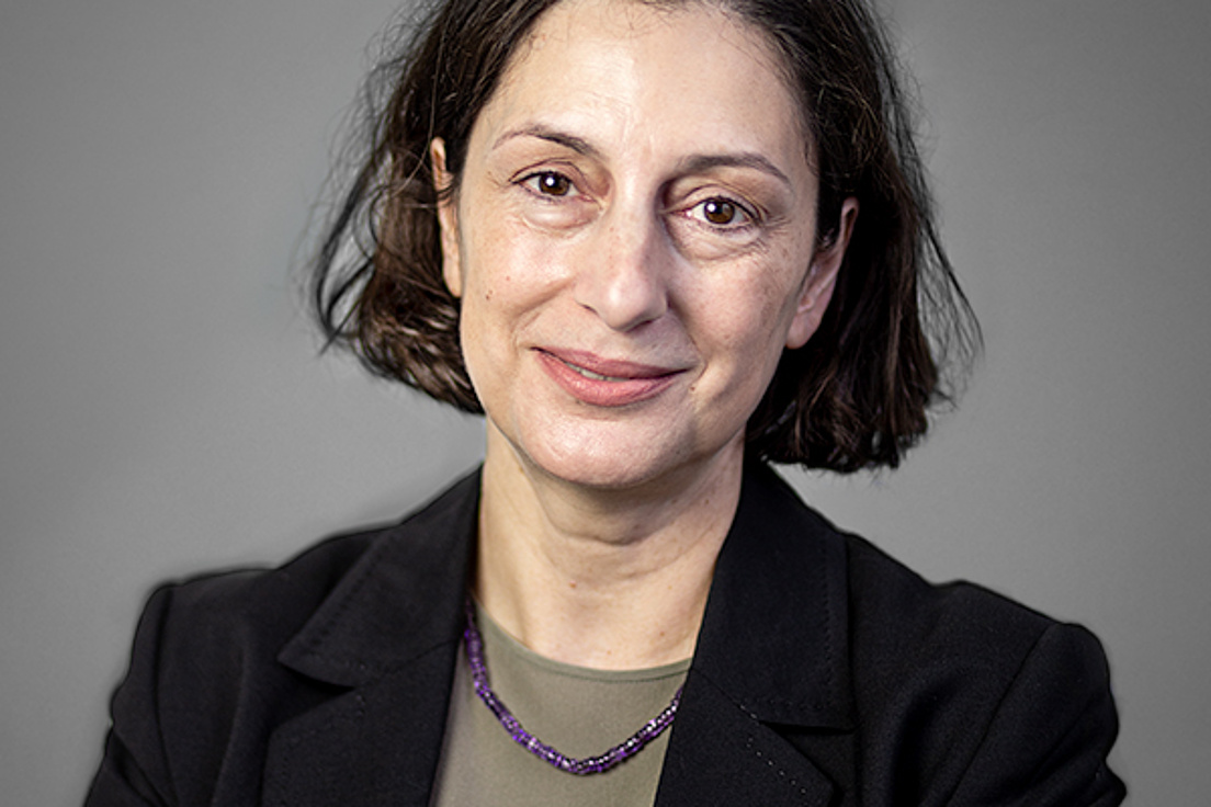 Artemis Alexiadou in einer professionellen Porträtaufnahme vor einem einfarbigen, neutralen Hintergrund. Der Hintergrund ist einheitlich grau und wirkt durch seine gleichmäßige Beleuchtung und fehlende Details sehr sauber und minimalistisch. Dieser neutrale Hintergrund lenkt den Fokus vollständig auf die Person im Vordergrund und unterstreicht den formellen Charakter des Bildes.