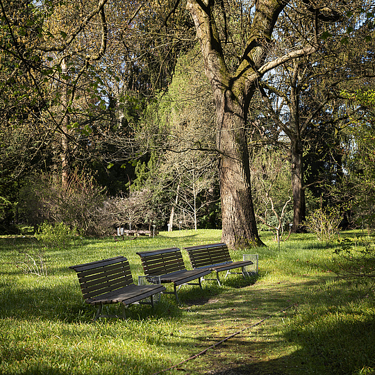 Eine parkähnliche Anlage, fast schon Wald mit mehreren Parkbänken nebeneinander, auf denen niemand sitzt.