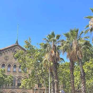 Historisches Gebäude mit mehreren Fenstern hinter einer Gruppe hoher Palmen und Laubbäume unter klarem Himmel