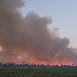 Große Rauchwolke über brennendem Feld bei Dämmerung.