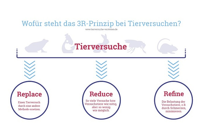 3R Prinzip