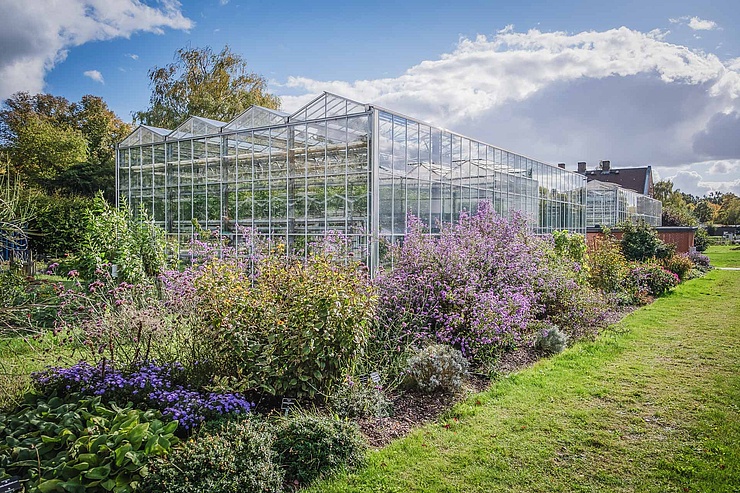 Campus Dahlem Ein großes Gewächshaus auf dem HU Campus Dahlem. Davor verschiedene buntblühende Sträucher und Stauden.