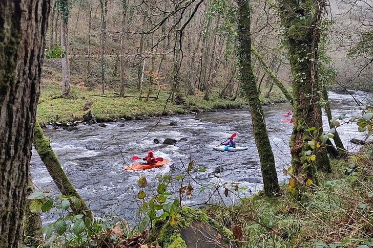 Zwei Kajakfahrer in roten und blauen Booten paddeln durch schäumende Stromschnellen eines Flusses umgeben von moosbedeckten Bäumen und herbstlichem Wald.