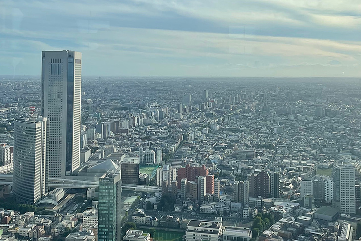 Blick über eine dichte Stadtlandschaft mit vielen Gebäuden und einem hohen Wolkenkratzer links im Bild