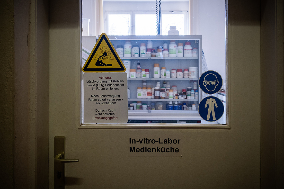 Ansichten des Späth-Arboretum in Treptow-Köpenick Das Bild zeigt den Blick durch die Glasscheibe einer Tür, auf der die Schriftzüge "In-vitro-Labor" und "Medienküche" sowie einige Warnhinweisschilder angebracht sind. Hinter der Scheibe lassen sich verschiedene Plastikgefäße erkennen, die so aussehen, als ob sie Medikamente oder Chemikalien enthalten würden.