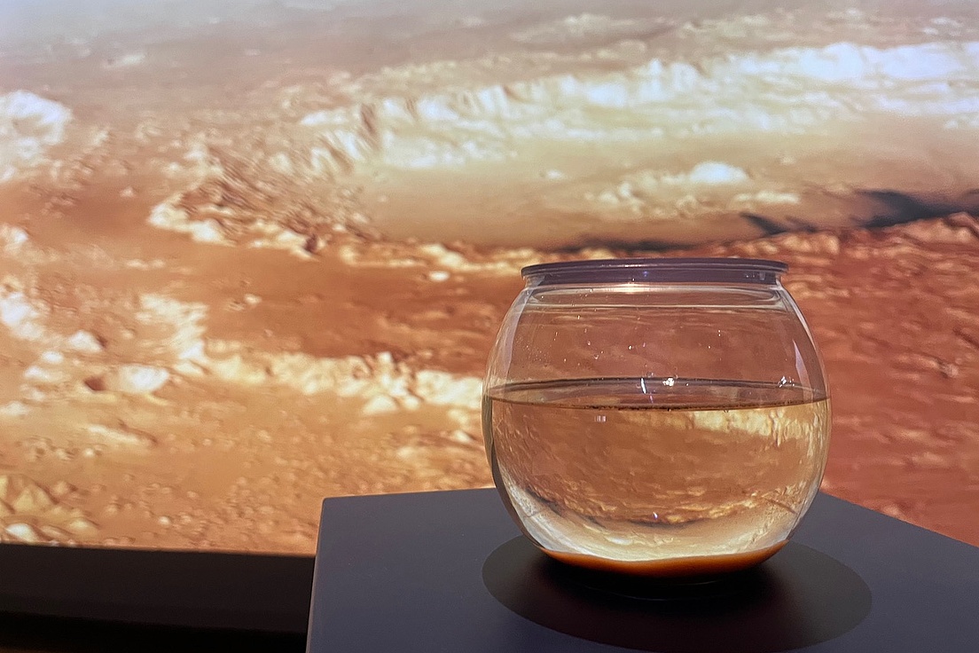 Fischglas mit Wasser vor einer Marslandschaft