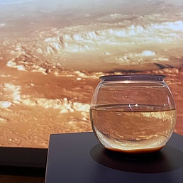 Fischglas mit Wasser vor einer Marslandschaft