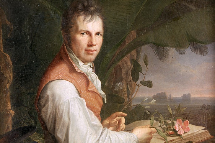 Alexander von Humboldt sitzt auf einem Sessel, ein Buch und eine Blume auf dem Schoß. Er blickt zum Zeichner.