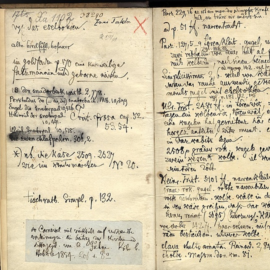 Ein sehr altes, vergilbtes Buch mit handschriftlichen Notizen der Gebrüder Grimm in der "Geschichte der Hofnarren"