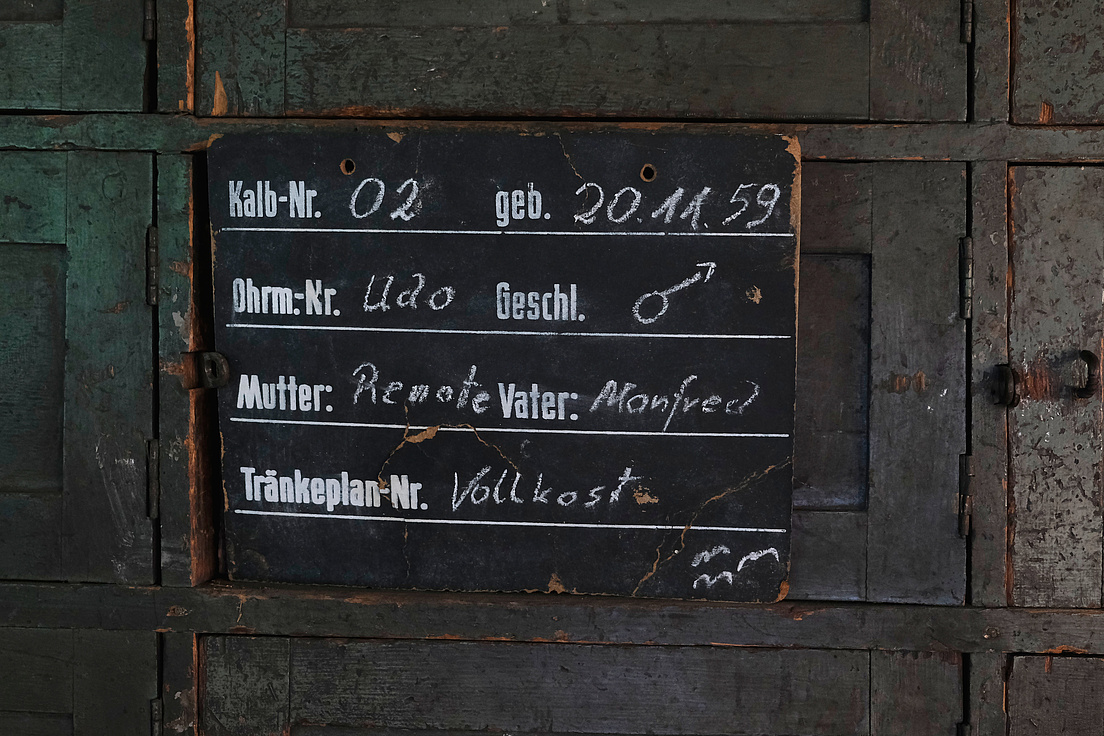 Open-Humboldt-Landwirtschaft-Ernaehrung-Ina-Friebe Eine Tafel, die sämtliche persönliche Daten eines Kalbes erfasst. Als Tränkeplan steht Vollkost verzeichnet.