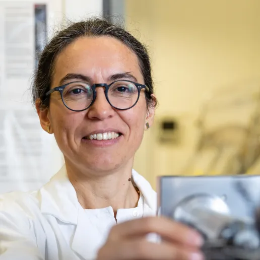 Dr. rer. nat. Berta Maria Dias Pereira Martins