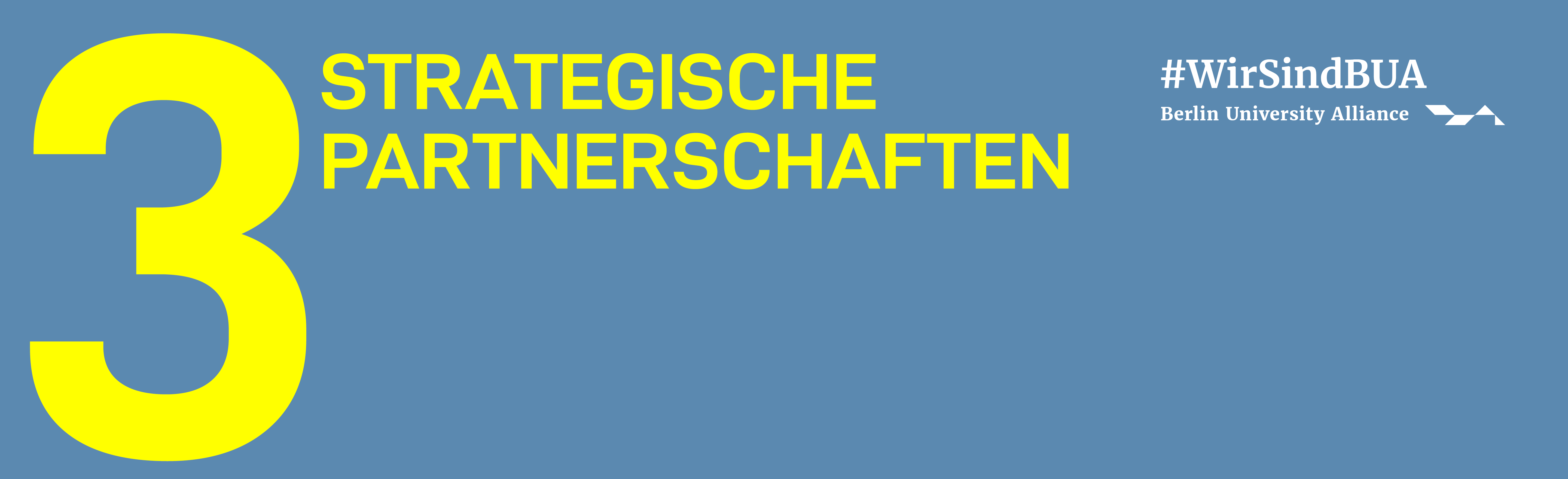 2025.06.04_Zahl 3 Partnerschaften2.png